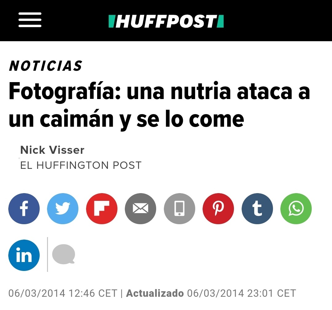 pbcastrr's tweet photo. Psicólogo: la nutria-cocodrilo no existe, no puede hacerte daño. 
La nutria-cocodrilo: https://t.co/FEGevf4PSS