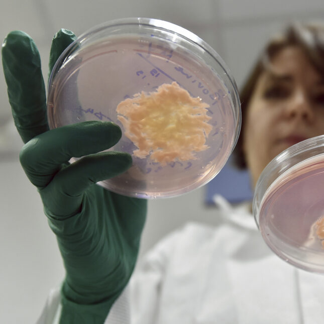 Clean Meat tweet media