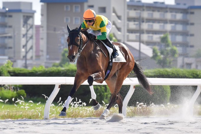 笠松競馬場さん の人気ツイート 1 Whotwi グラフィカルtwitter分析