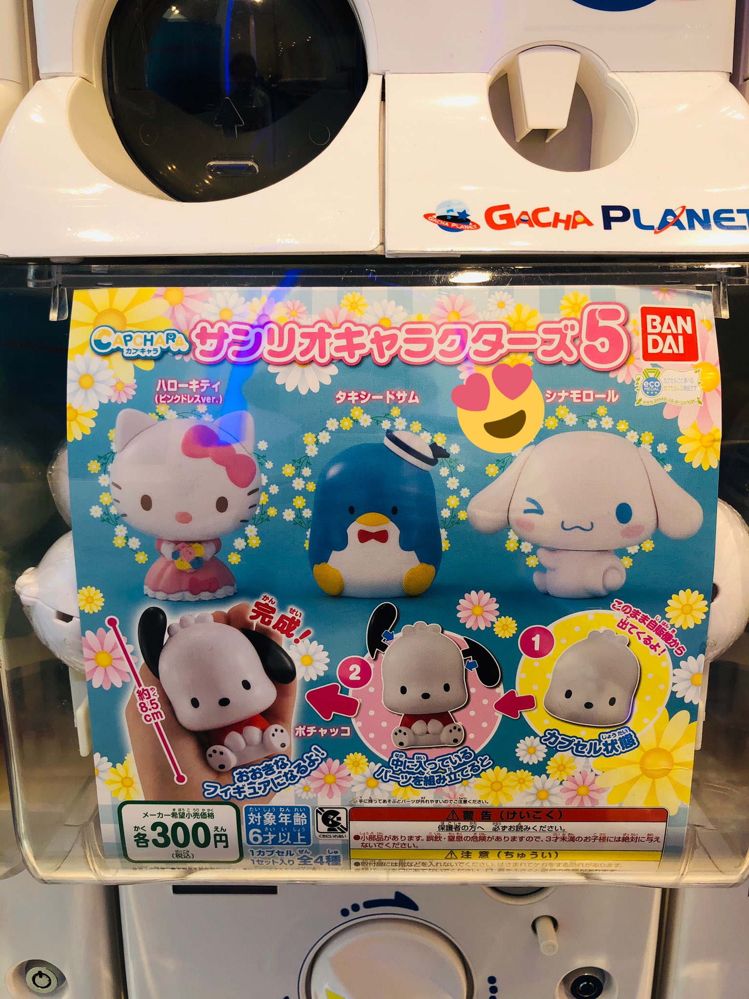 エディオンなんば本店 公式 サンリオキャラクター大賞 シナモン1位おめでとう ２位はポムポムプリン 3位はポチャッコでみんな 犬の男の子 他のサンリオキャラクターの ガチャガチャあります T Co Th3ifzzaw7 Twitter