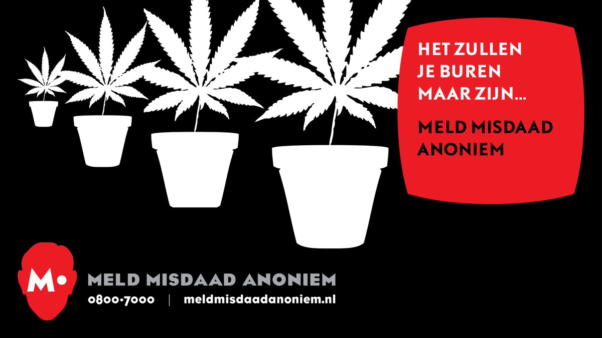 Hennepkwekerijen zorgen voor overlast in woningen en maken buurten onveilig. Stroom wordt vaak illegaal afgetapt en installaties onveilig aangelegd. Dit levert een ernstig gevaar op voor de brandveiligheid. Meld Hennepkwekerijen Anoniem telefonisch of online 💻📱