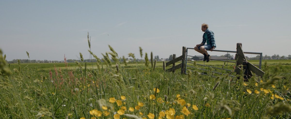 Jaring Brunia tweet media