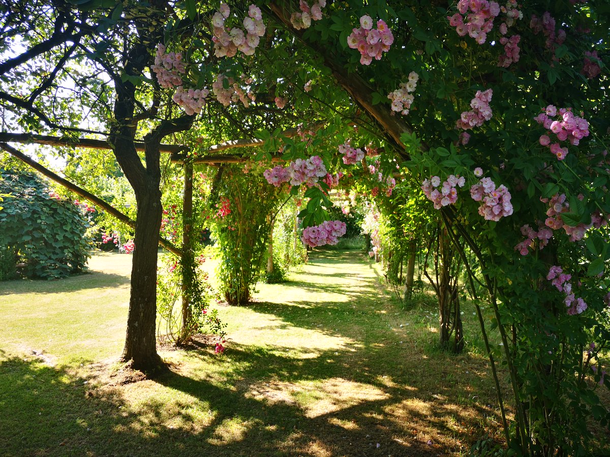 Happy news! You can now book tickets to visit Penshurst Place using your RHS membership card, your Gardener's World 2for1 coupon or your Gardens of the South 2for1 coupon.
More info: penshurstplace.com/plan-your-visi…