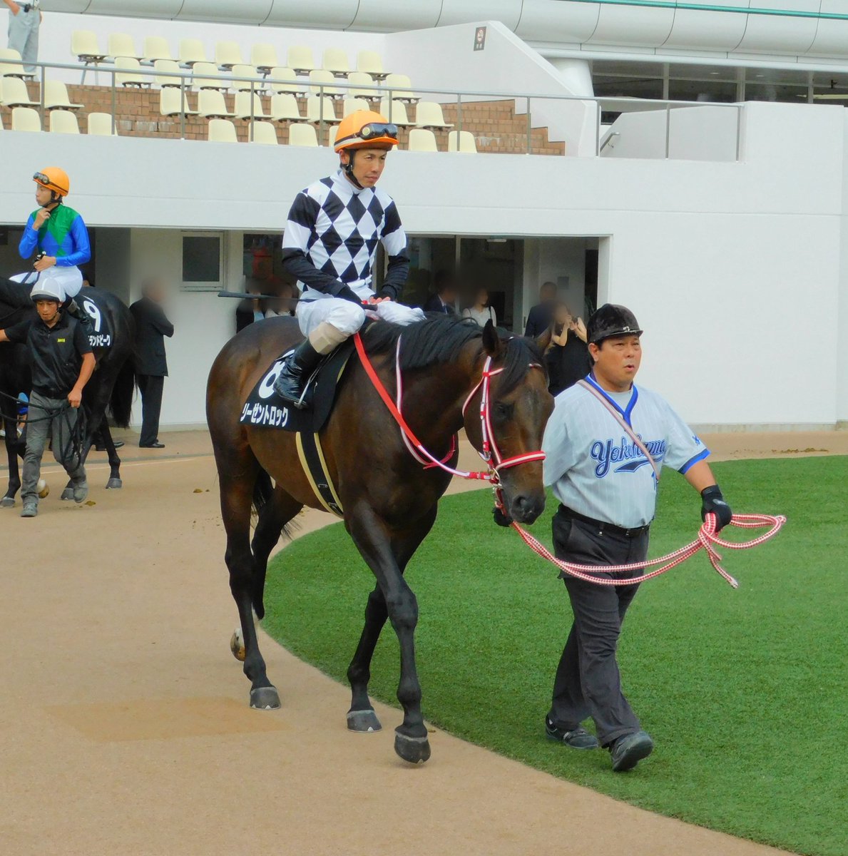 ট ইট র モトテツ こないだ 京都競馬場で誘導馬デビューした リーゼントロック 号 画像は 去年の９月中山競馬場のパドックで撮影した 競走馬時代のリーゼントロック号 ロックな馬