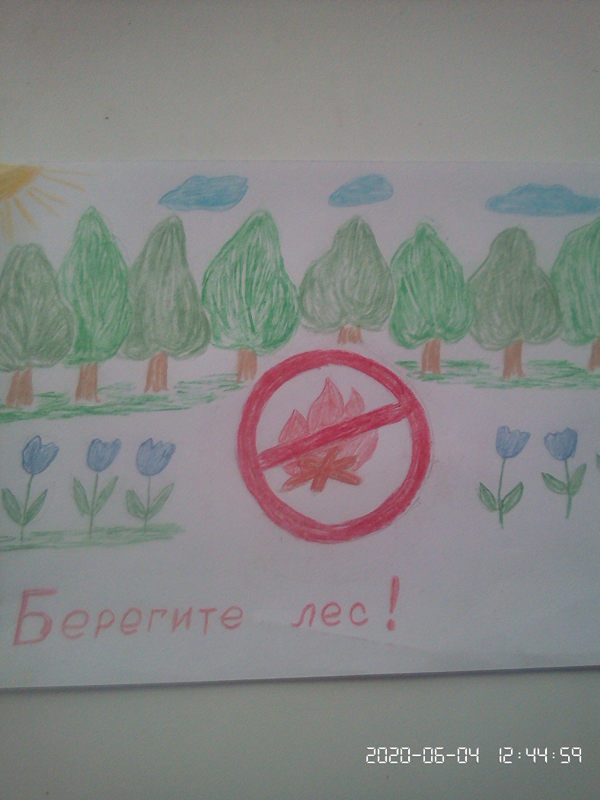 Рисунок на тему береги природу
