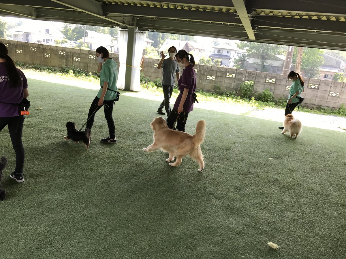 国際ペット総合専門学校 Tbcpet Twitter