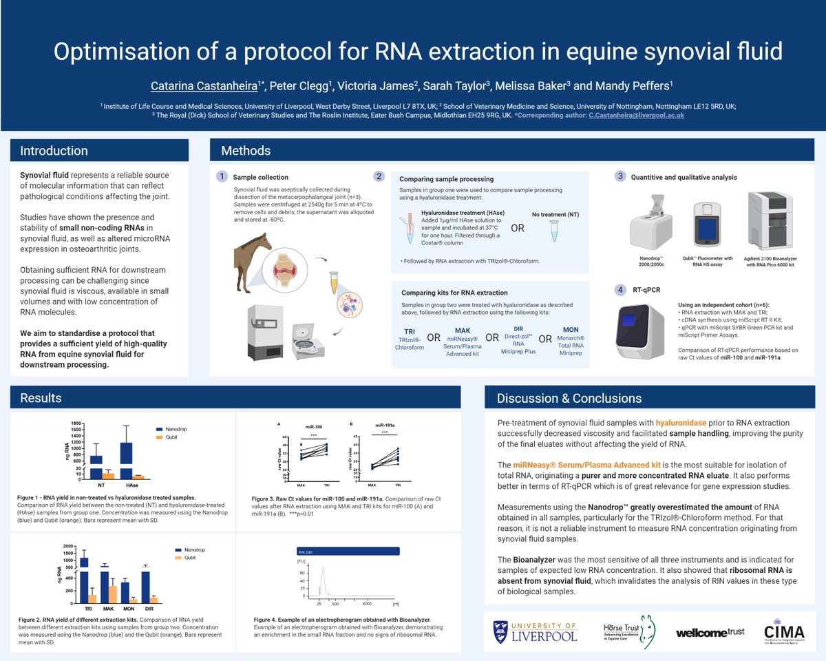 Optimisation of a protocol for RNA extraction in equine synovial fluid. @MandyPeffers @CleggPeter @SarahETaylor5 @LivUni @LivuniILCaMS @horsetrust @wellcometrust @CIMA_Ageing #HLSLCMS #HLSPosterDay2020 #equine #equineresearch #research #osteoarthritis  #RNA #smallRNA #microRNA