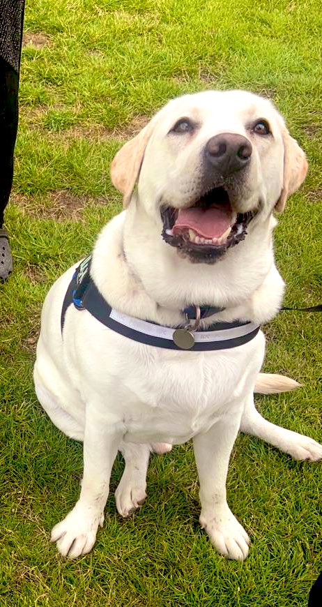 G & T - Podcast tweet media