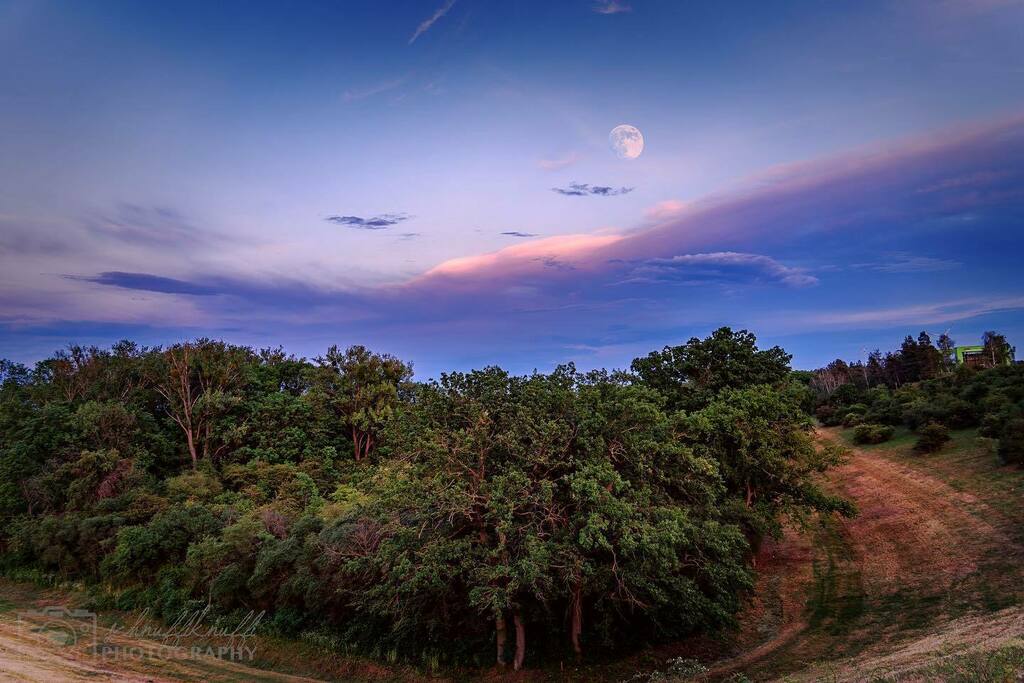 SchnuffiKnuffi's tweet photo. Monde und Jahre vergehen, aber ein schöner Moment leuchtet das Leben hindurch.
#mond #moon #schiffshebewerk #schiffshebewerkrothensee #rothensee #fotografie #photography #hobbyfotografie #magdeburg #foto_follower_loop #wirsindmagdeburg #unsermagdeburg #… https://t.co/N8u5kMPA8R https://t.co/eJSCpuIKTz