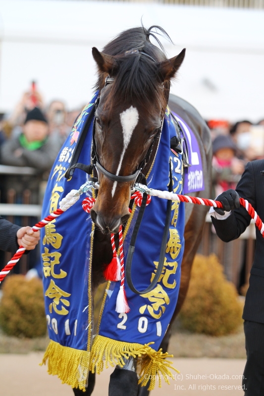 主にキタサンブラック Min T ミント 主にキタサンブラック Min T ミント