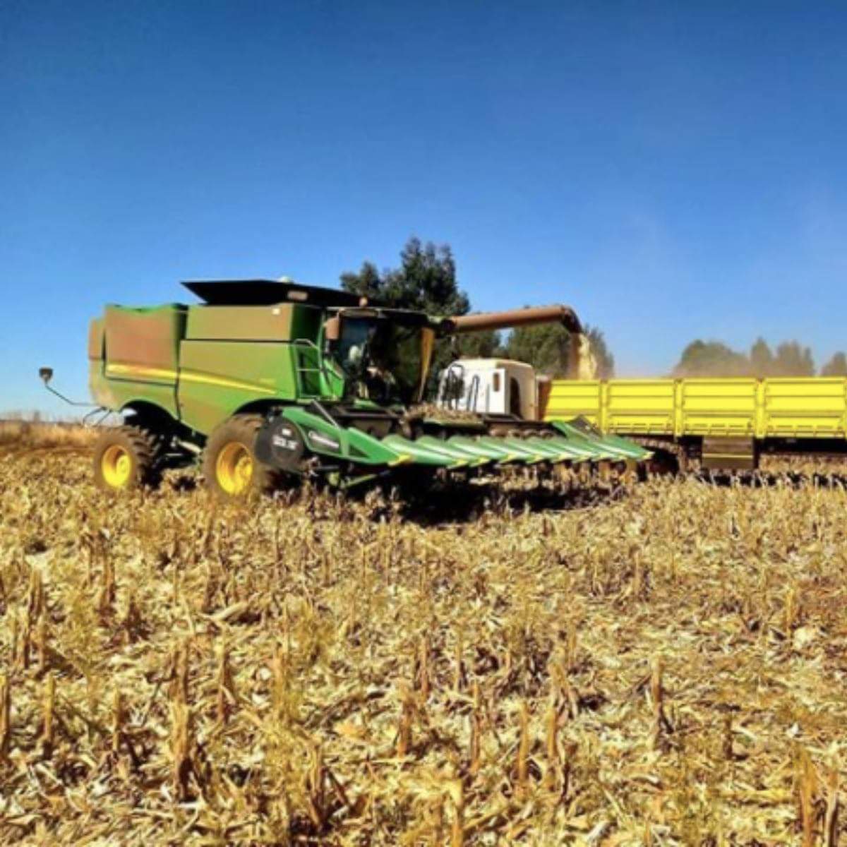 AFGRI1's tweet photo. #strooptyd in Mpumalanga. Die #ToysBoerdery naby Belfast is druk besig met die stroop van hulle mielieoes. Baie dankie aan elke boer wat dag en nag werk om voedselsekuriteit te verseker in ons land. Julle is voorwaardelik die regte helde.
#AFGRI #Strooptyd #GrainManagement https://t.co/CfscfzkyEf