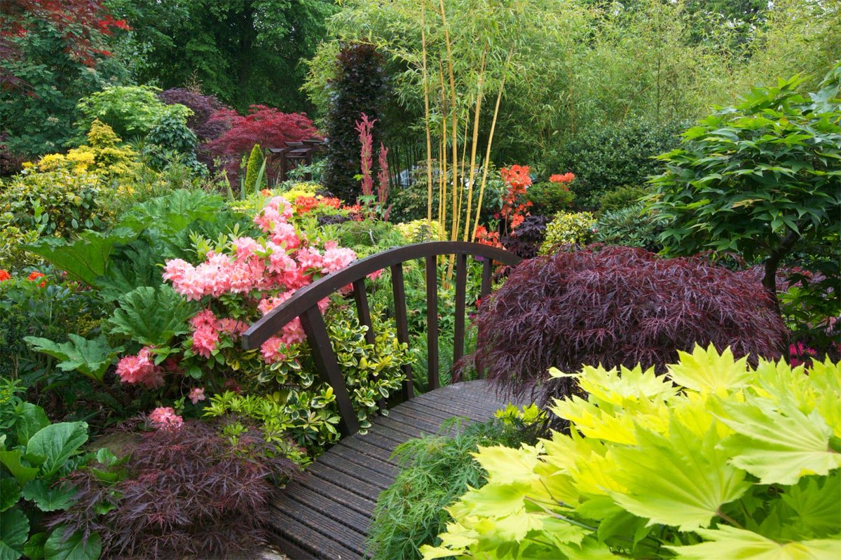 MyBeauDes's tweet photo. Gardening and making a beautiful garden, great for the mindset and mindfulness. 
#Nature #gardens #MBDNature https://t.co/EPwUn2Vfch