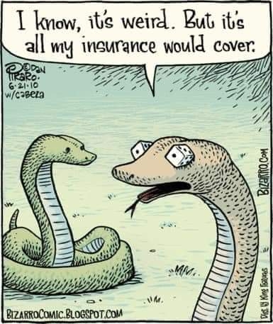 clearhorizoneye's tweet image. #snakeeyes #optometryhumor