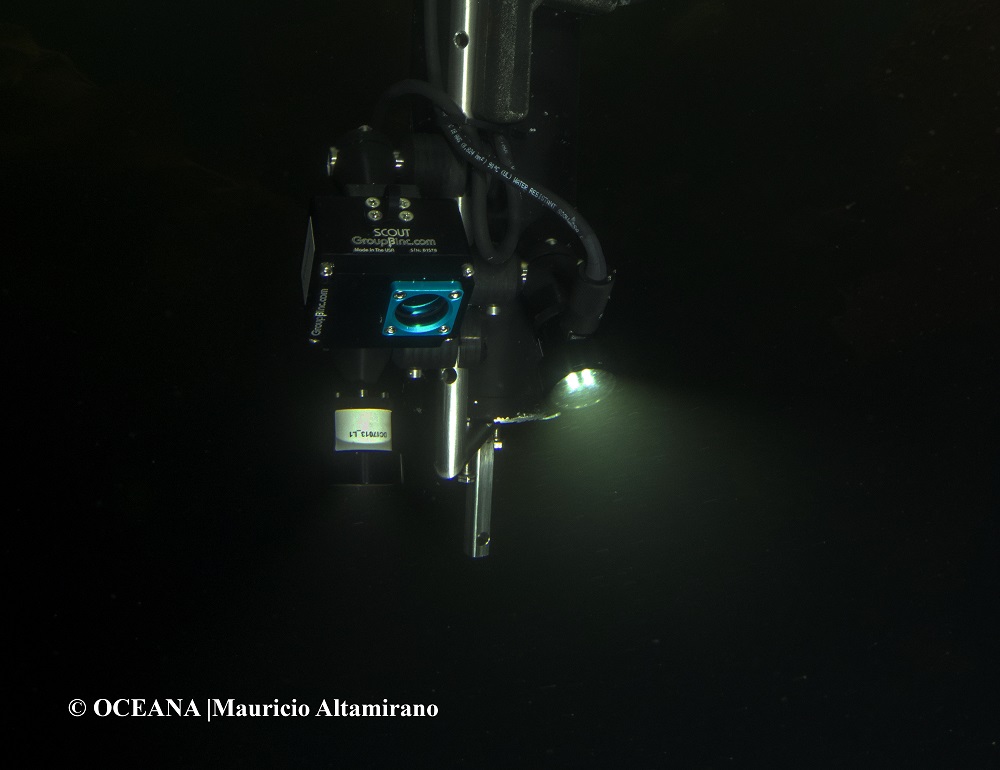 mundoacuicola's tweet photo. COVID-19 y la investigación marina profunda
#Mariscope #Dropcam #InvestigaciónOcéanica #TecnologíaSubmarina #InnovaciónAcuícola #Chile
Ver más en: https://t.co/jXo27OAGdN https://t.co/NNBIm6UgCO