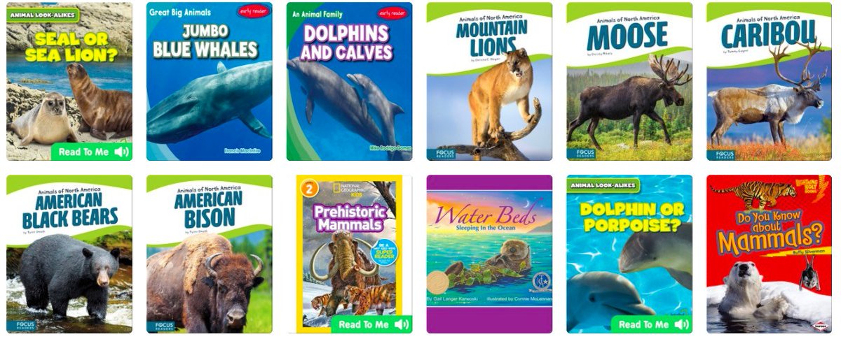 EdgemontGr2CBE's tweet photo. Yesterday during our class meet we read a book about mammals. Remember you can search for more books in EPIC. https://t.co/6a7OjsuQkJ