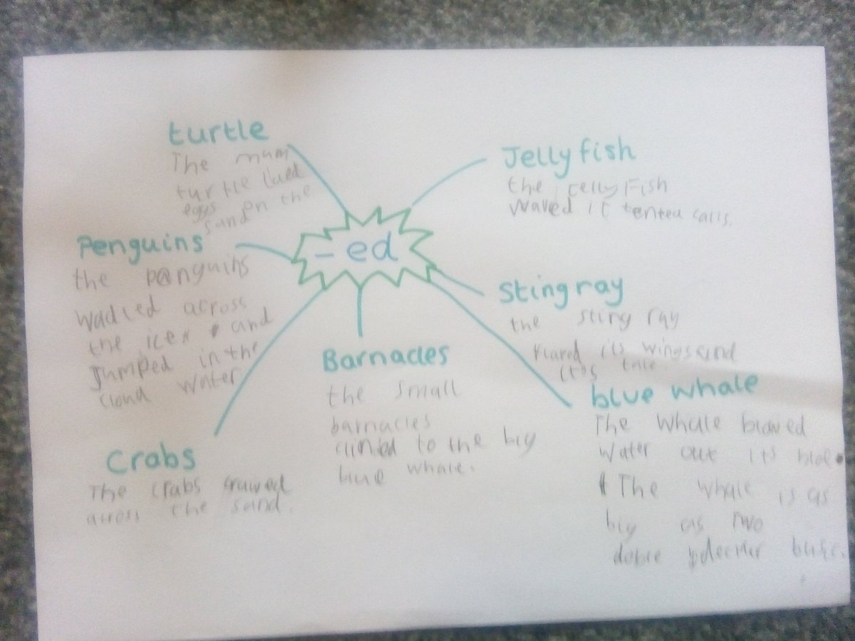 LPetchey's tweet photo. @FVAYR1 commotion in the ocean π¦π¦π
# suffix -ed imaginative play with the sea animals. https://t.co/BTp5Hpch1u