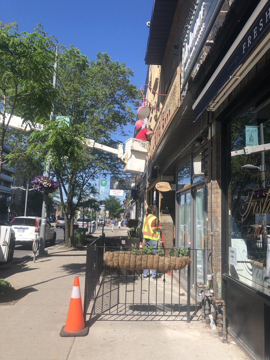 Sad Daves indeed. Good bye St Clair 💔