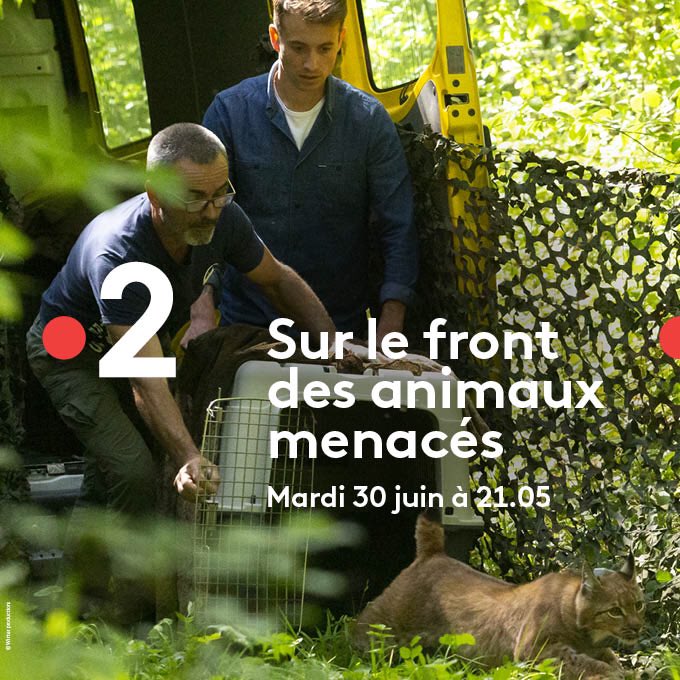 Hugo Clément tweet media