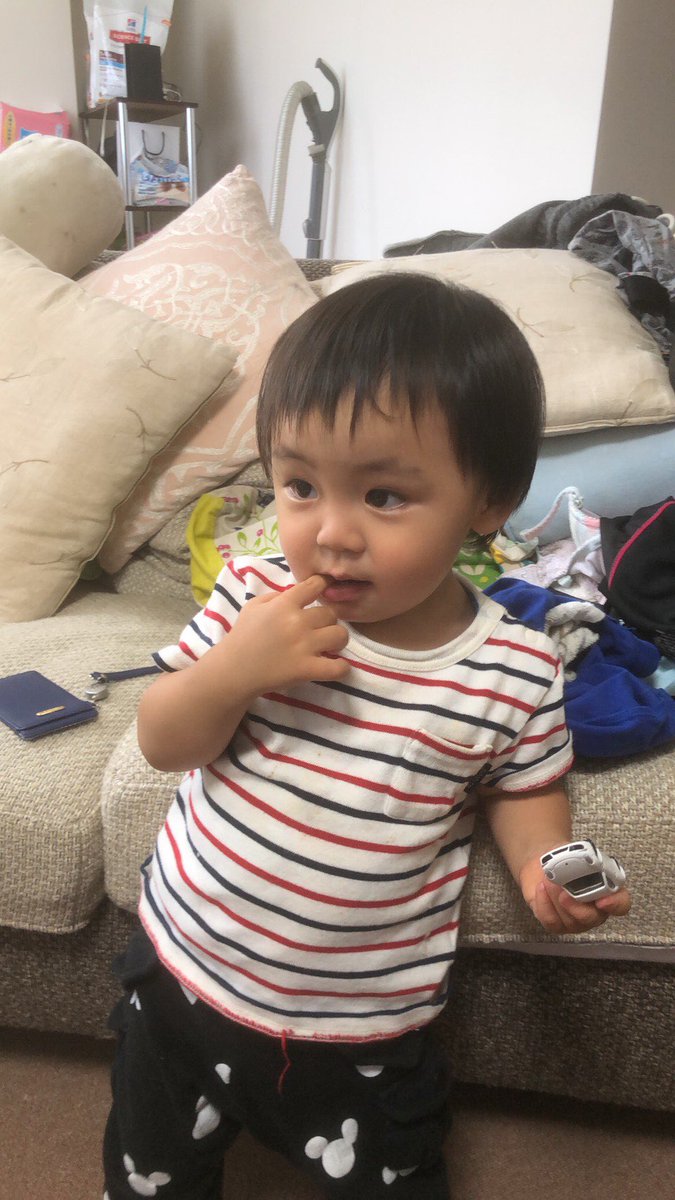 ryuuatan's tweet photo. うちの子可愛すぎん？
え？これ、親バカかな？ https://t.co/udDquTaazB