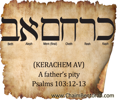 chaimbentorah's tweet photo. https://t.co/9ZZWgrm7z2 https://t.co/gSATEmm44V