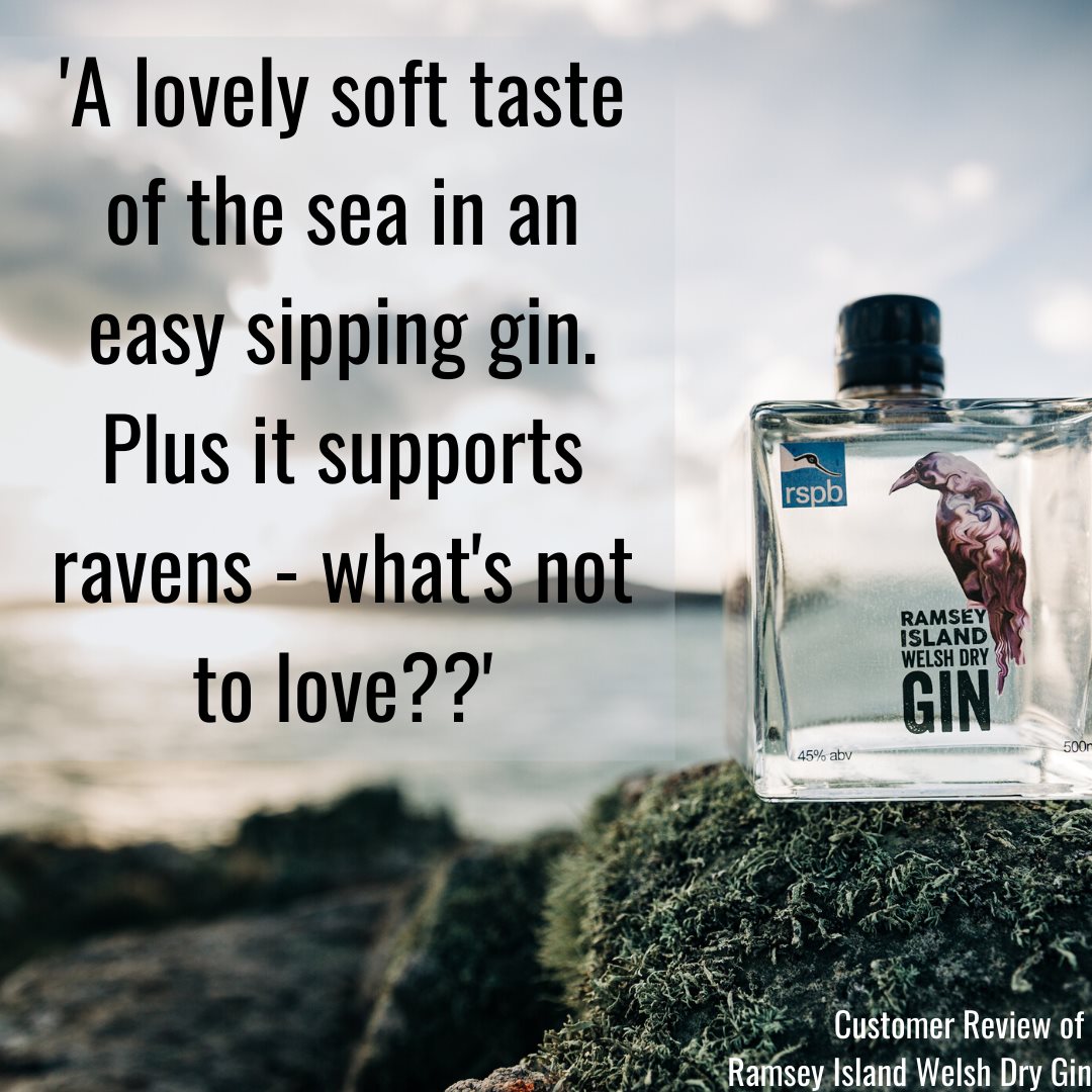 St Davids Gin tweet media