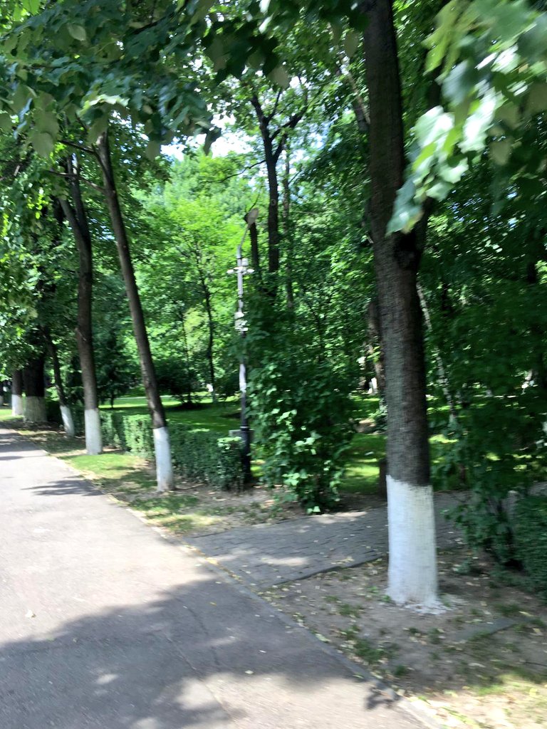 Travel_2Romania's tweet photo. Summer in #Bucharest 🌤️
June, 2020.🚴📸🌿🥀☘️
#VisitRomania https://t.co/qDkxF66J1X