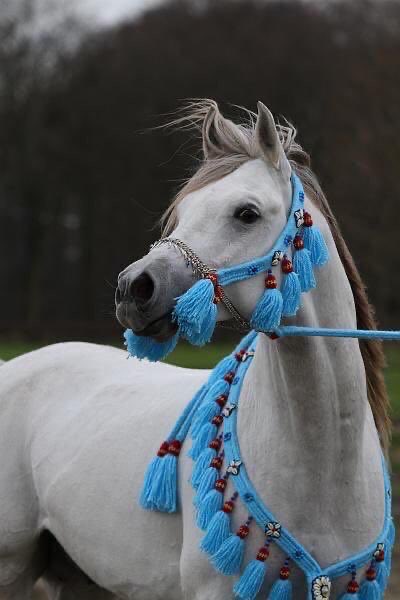 PZz4s's tweet image. الرسمة الثانية لبنتي لم تكتمل بداية جميله أسأل الله ان يبارك بعمرها وعملها ويحفظها