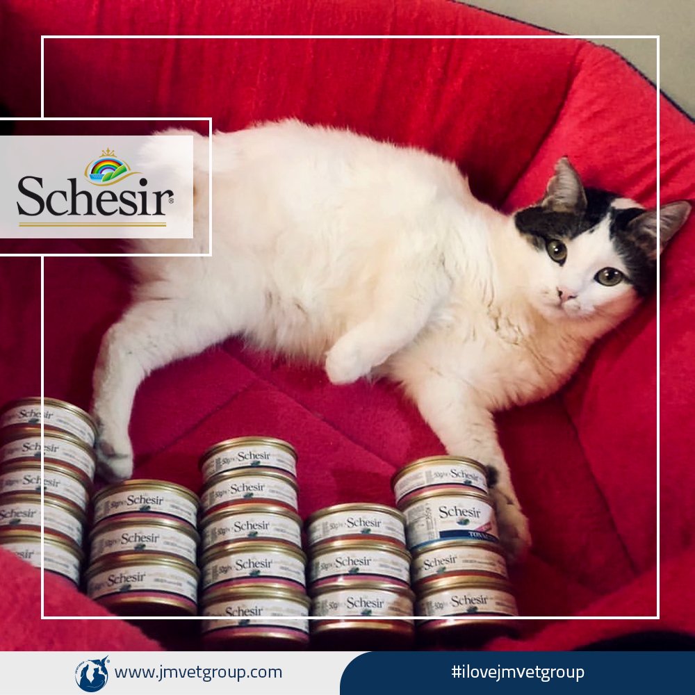 jmvetgroup's tweet photo. Schesir - 100% Natural Ingredients ❤️🧡💛💚💙💜✨
#ilovejmvetgroup
#jmvetgroup
#schesir
#schesiriran
#schesirtips
#شسير
#شسير_ايران https://t.co/guGOPaFTR7