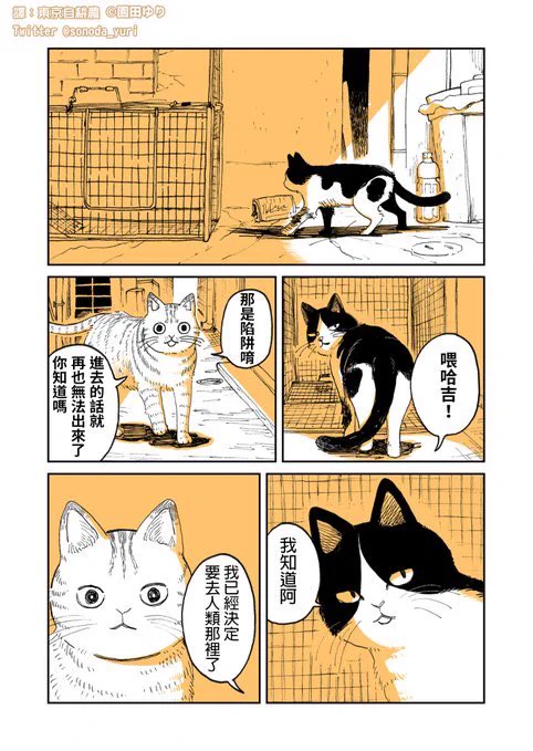 リオさん(@leolee_0610)が、「野良のボス猫が保護されようとする話」の漫画を台湾華語に翻訳してくださいました?ありがとうございます!台湾の方々にも読んでいただいてうれしいです

◆Facebook
https://t.co/3GzqJZahDp
◆Instagram
https://t.co/auvJxAECZy 