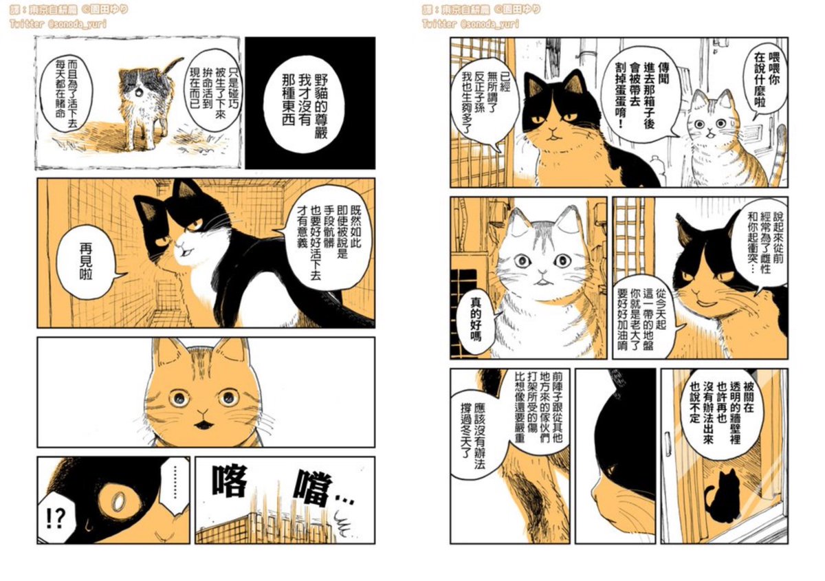 リオさん(@leolee_0610)が、「野良のボス猫が保護されようとする話」の漫画を台湾華語に翻訳してくださいました?ありがとうございます!台湾の方々にも読んでいただいてうれしいです

◆Facebook
https://t.co/3GzqJZahDp
◆Instagram
https://t.co/auvJxAECZy 