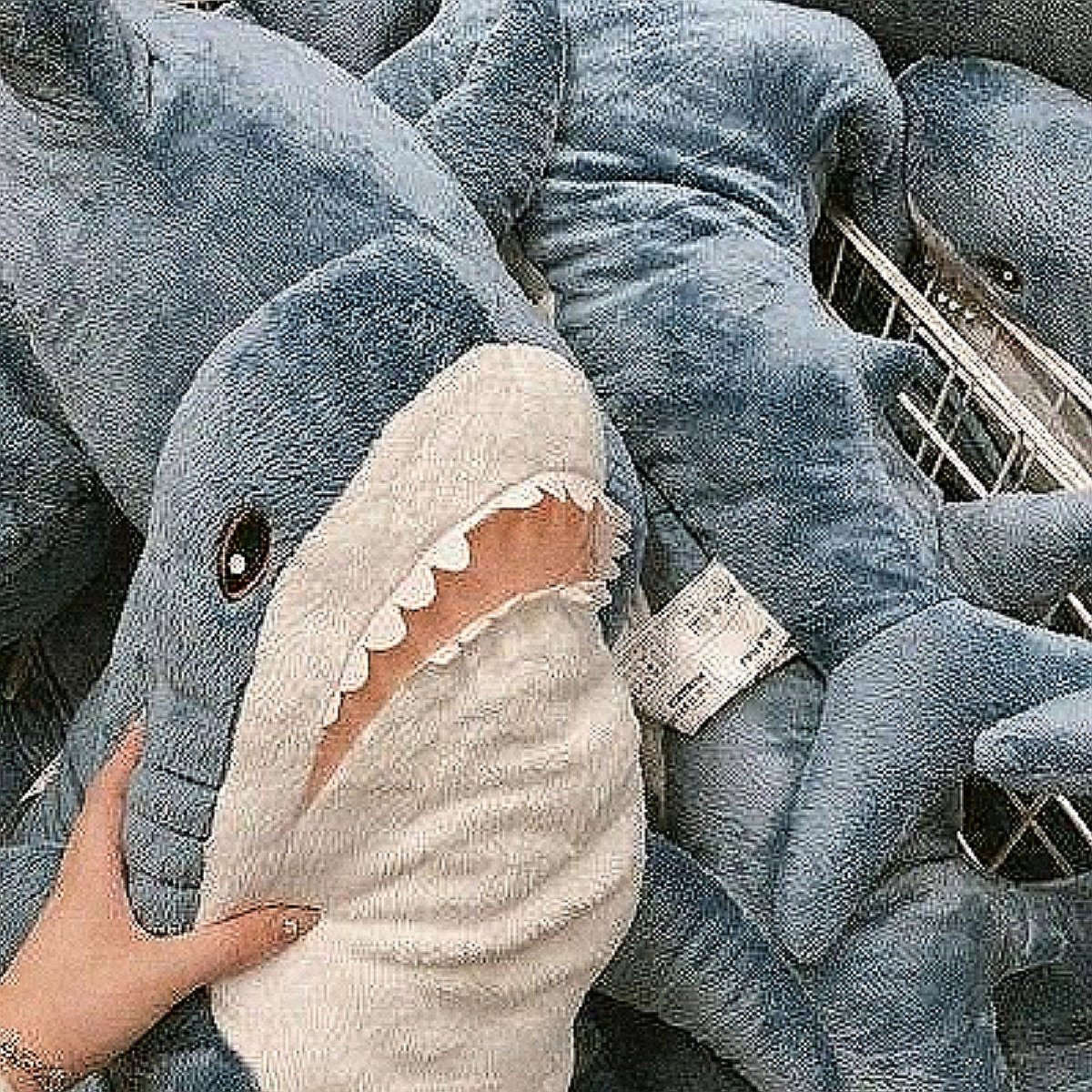 ⁎ 𝟗 / 𝟕 ˙  𓈒🤍

           ɪᴍɢ  ℜ𝗈𝗌𝖾  𓎭  Fifa.
         แลกฟอล 𓐄 ตามทัก .  ⁺ 🖌 𓈒

ยพท 、ลฟตท ˙