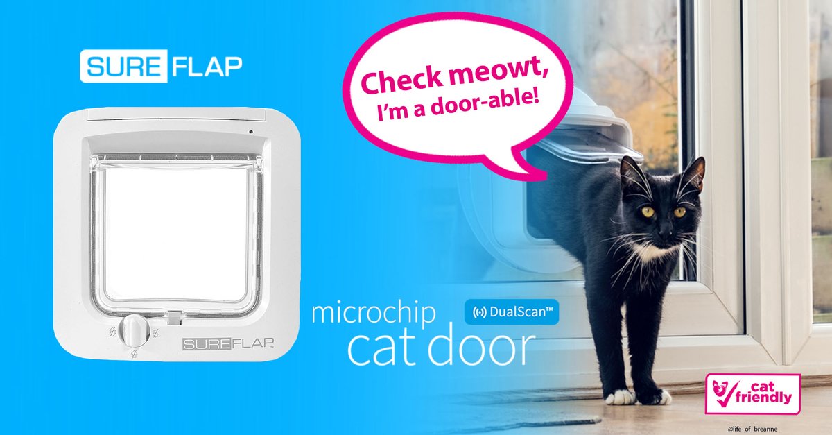 life_of_breanne's tweet photo. Check Meowt @OneMinuteBriefs of the Day: Advertise #CATFLAPS Tweet your entries to feature at https://t.co/h8sUlZvxvj #creative #advertising RT @SurePetcare #sureflap https://t.co/RArF8gm1yC