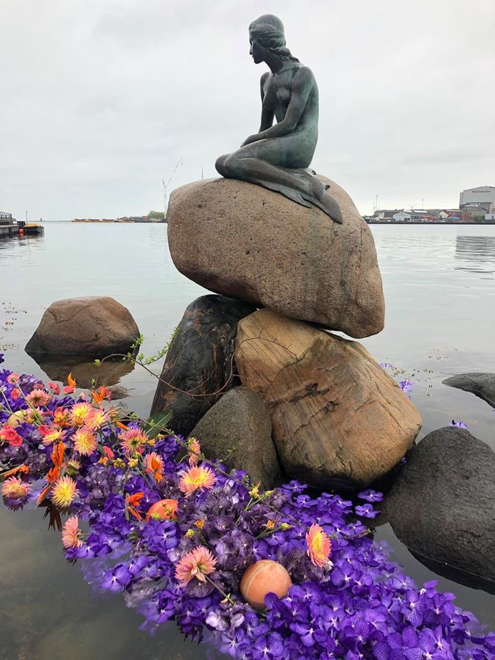 HolsteinFlowers's tweet photo. Our gerberas coloured the city of #Copenhagen! Thanks to photographer Stine Heilmann and floral designer Annette von Einem. They wanted to give Copenhagen hope with beautiful flowers, after spending many weeks in isolation because of corona. ♥️ #copenhagenwrappedinflowers https://t.co/TE9nQ56r2T
