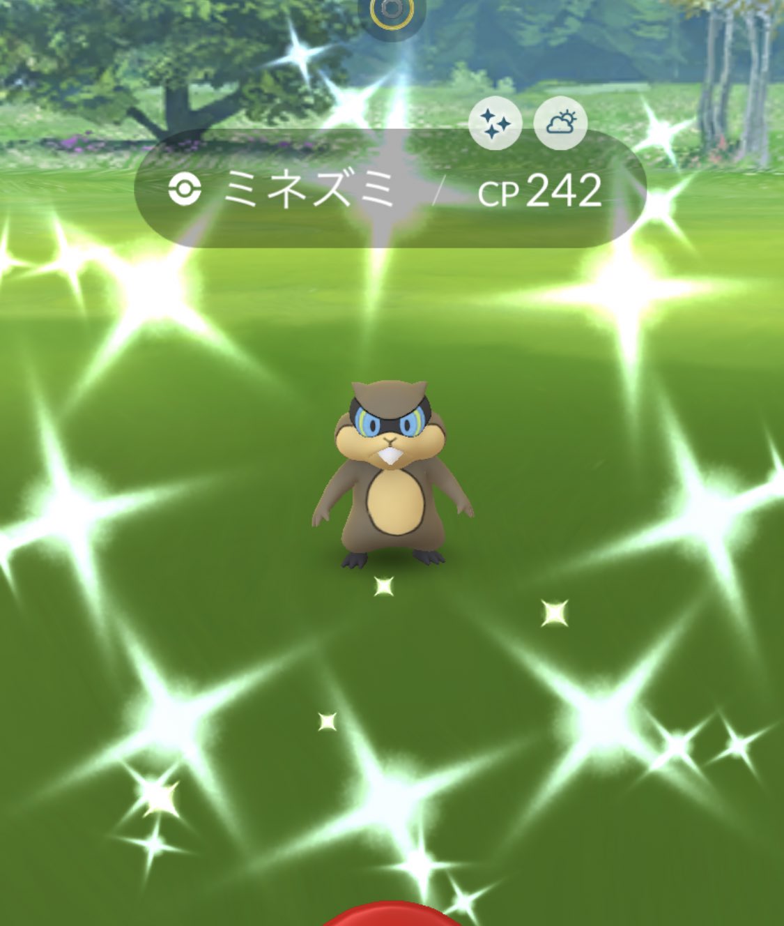 ふうちゃ ポケモンgo Airu Monnyantai Twitter