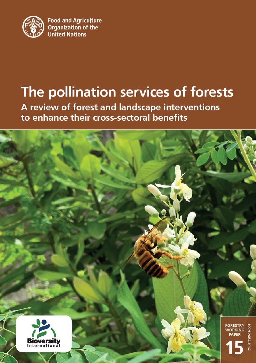 Excited to see the release today of  'The pollination services of Forest' a collaboration between <a href="/BiovIntCIAT_eng/">Alliance of Bioversity International and CIAT</a> <a href="/FAOForestry/">FAO Forestry</a> <a href="/FAO/">Food and Agriculture Organization</a> and <a href="/usys_ethzh/">D-USYS@ETH</a> for press release:fao.org/news/story/en/… Congratulations to all our co-authors👏👏🙏🙏 <a href="/gabywg24/">Gaby WG</a>