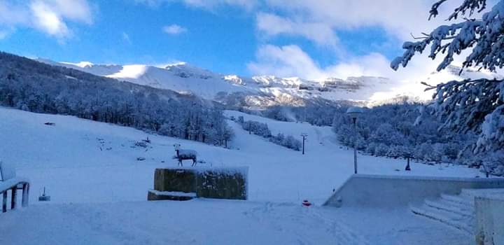 #BuenosDias Amaneciendo en el #CerroChapelco 
Ahora-5: Máxima 5
En #SanMartindelosAndes el #invierno2020 ya llegó 
#Neuquén #PatagoniaArgentina