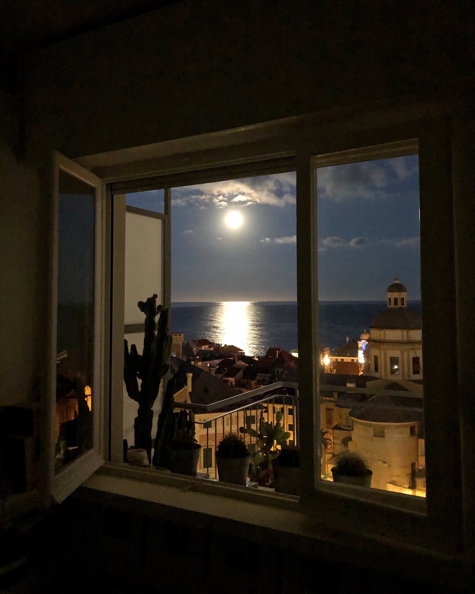 daniela stratta tweet media