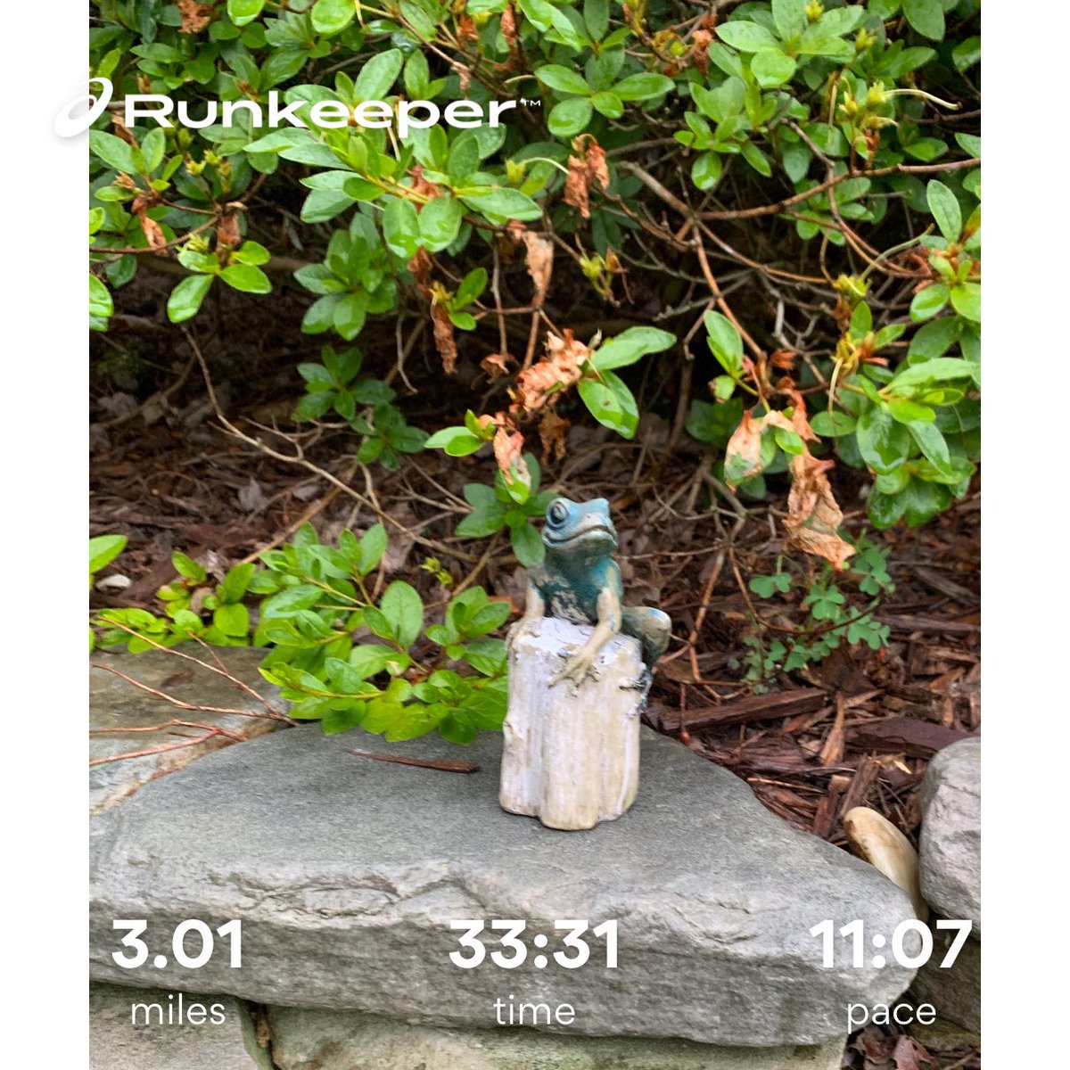 Drizzling rain and running on wet streets but we got it done! #dedicatedrunner #runningtolose ⁦<a href="/Havilandweb/">Robert Haviland</a>⁩