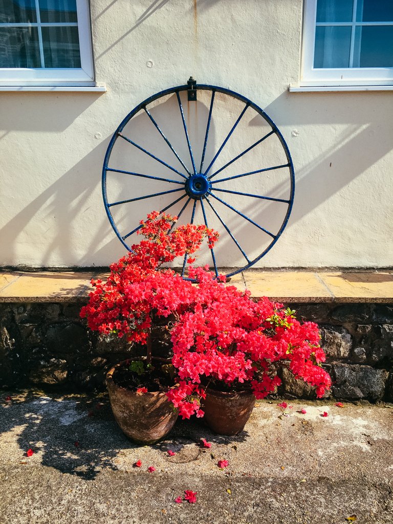 Colroger Holidays tweet media