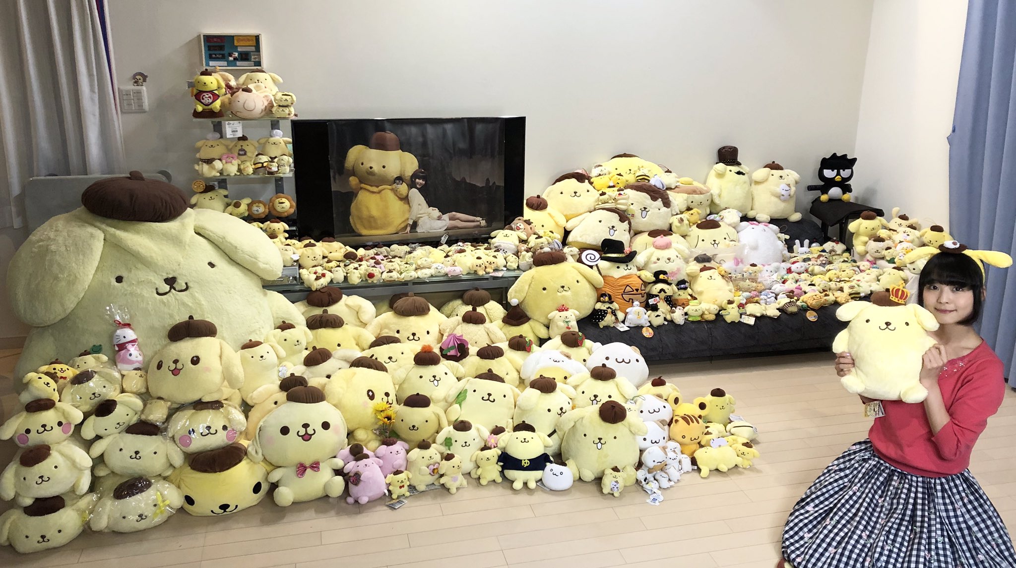 【新品・タグ付き】ポムポムプリン ぬいぐるみ 寺嶋由芙　コラボ ポムポムプリン×だいふくのぬいぐるみ | 寺嶋由芙 Official Shop
