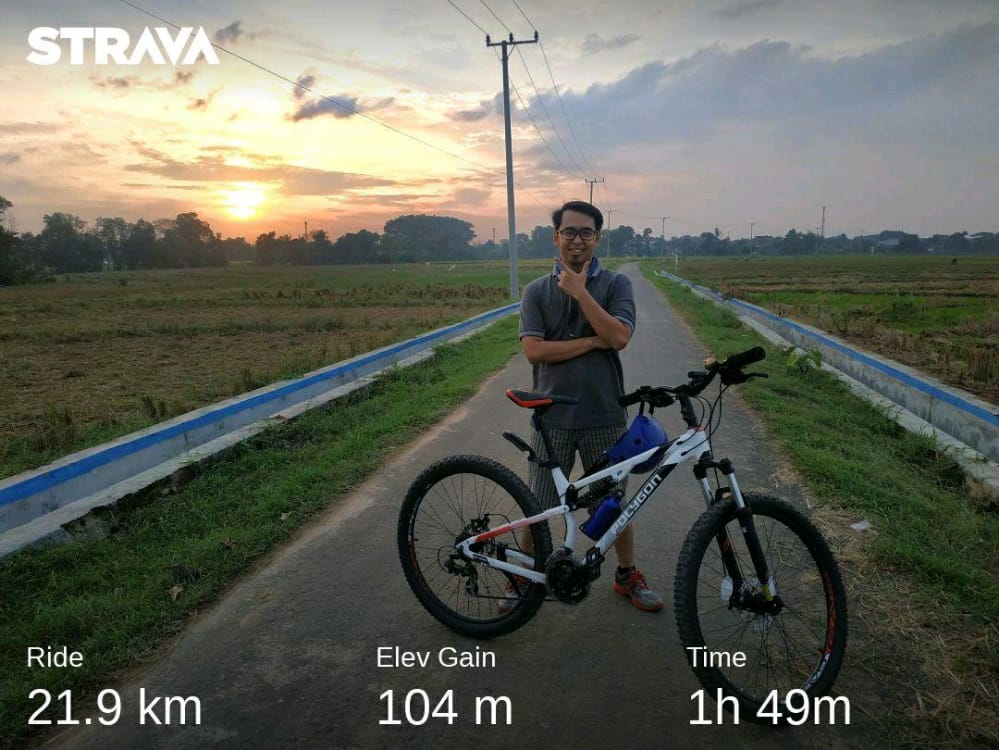 gowes sore