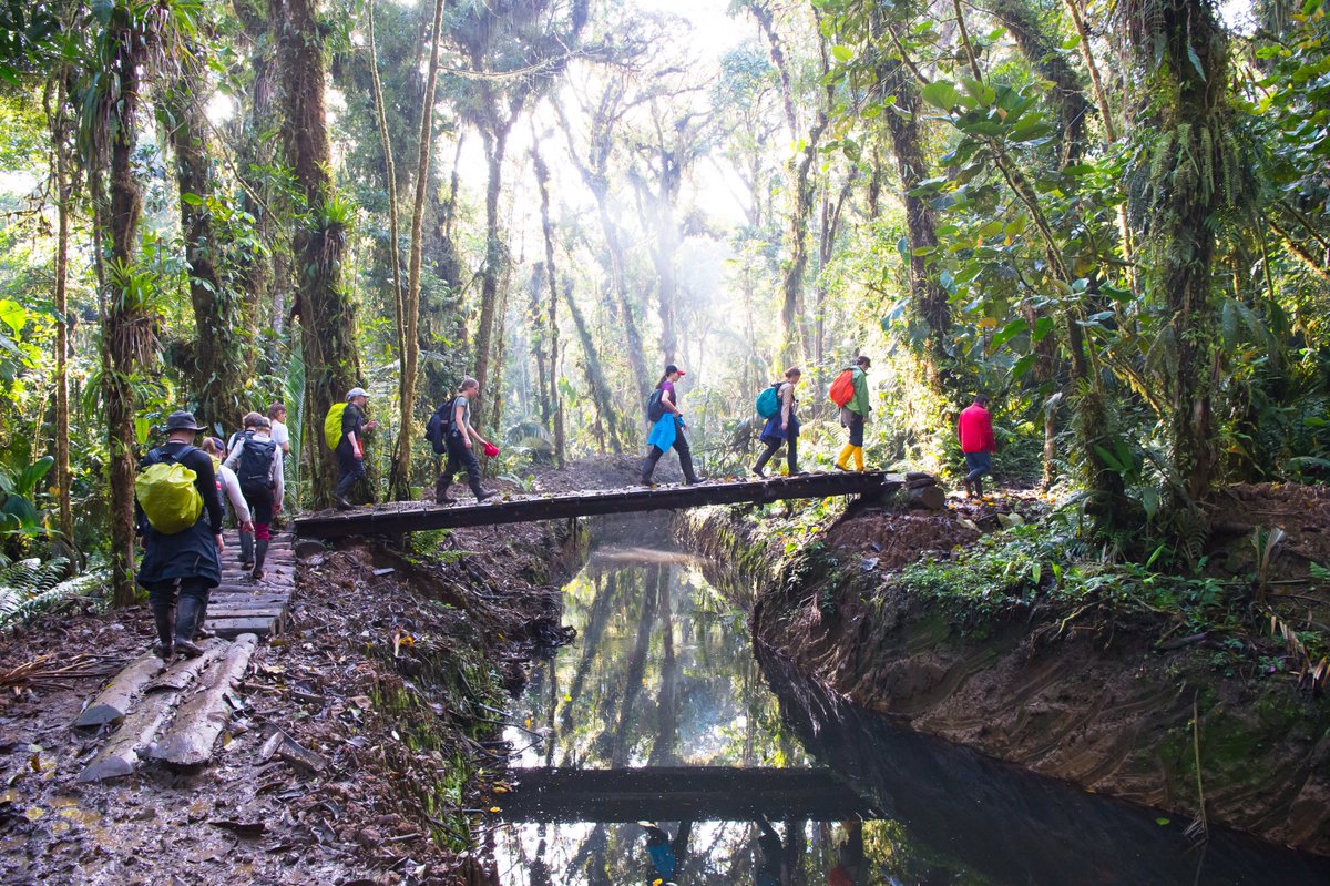 KarlOlofBergman's tweet photo. Biologer på fältstudier i Amazonas https://t.co/Npr3xndGlY 

Häftig och lärorik fältresa med mina studenter! 

Great field trip with my students!

#biodiversity #liubiology #amazonas #biologiskmångfald #conservation #pluggabiologi https://t.co/7MMvBWhW2t