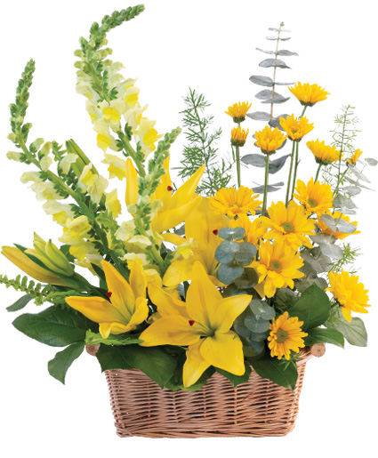 Stay cool today with this cheerful yellow arrangement! Order now for same day delivery!
cameronsflowershop.com/product/ba0161…