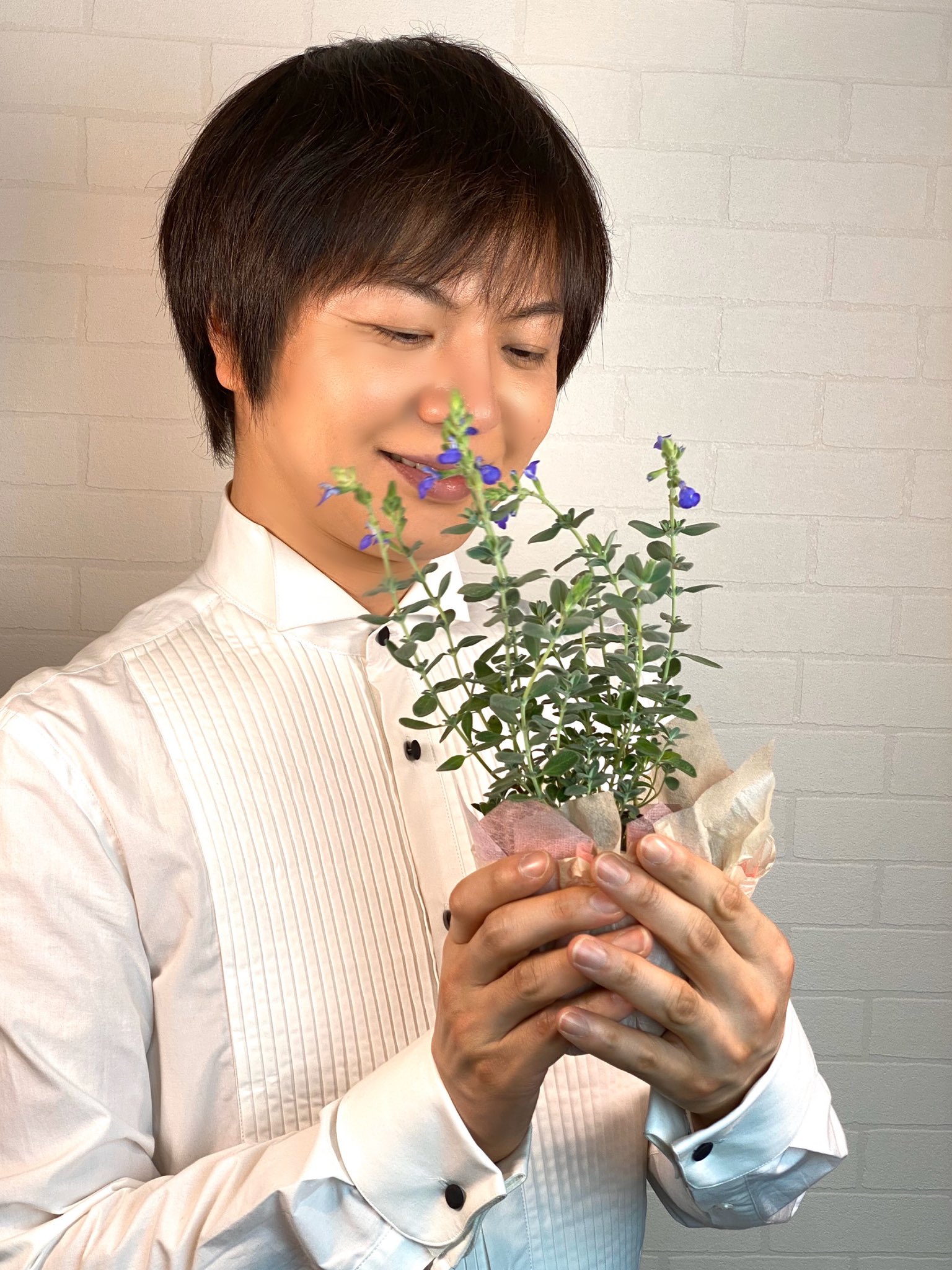 竹島宏スタッフ 公式 ジャーマンダーセージ 花言葉は 愛嬌 尊敬 家族愛 青色がスッキリと心地よく 今の季節にぴったりな花 明日も暑い日になりそうです 爽やかな１日となりますように 今日も１日お疲れ様でした ひろネット 花
