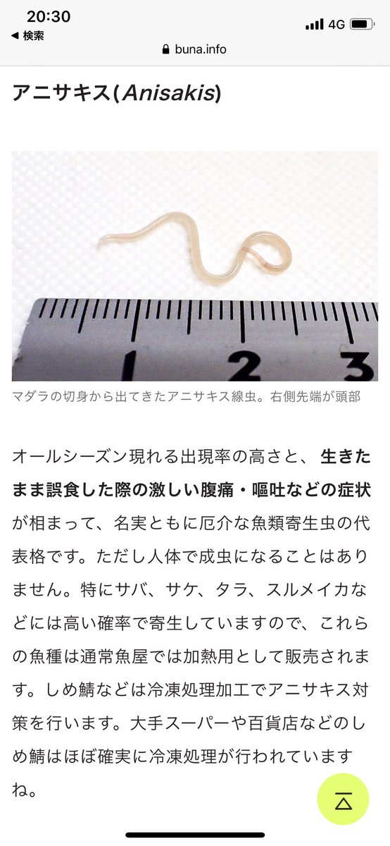 悠里 寄生虫等に詳しい方いたら教えてください 生食用ハマチを買ったところ筋肉からひも状の寄生虫 が出てきました これってブリ糸状線虫で合ってますでしょうか