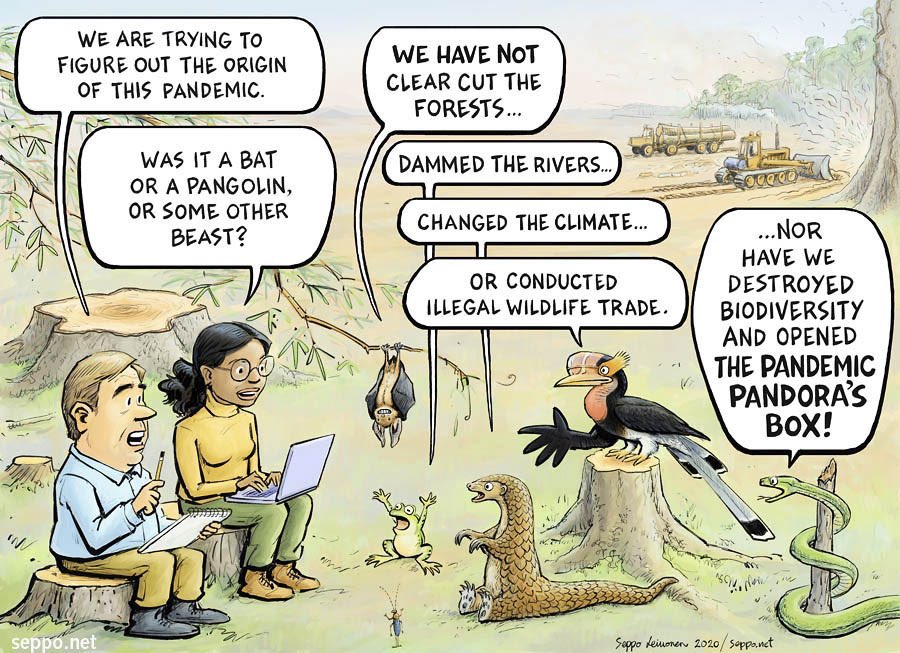 MedWetOrg's tweet photo. If you want to know who is responsible of #pandemics and many environmental crises, look no further than the mirror in your bathroom. 
Taking responsibility is the first step putting right a wrong.

Well done @sepponet.
#coronavirus #covid19 #ActNow #savenature #keepWetlands https://t.co/ZlXylWM78v