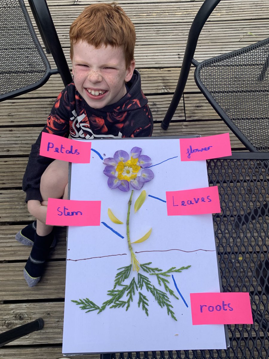 seplumb's tweet photo. ⁦@missjohn3p⁩ ⁦@AbbotsPrimary⁩ W used what he could find in his garden to make his flowers. https://t.co/0CAmFndotG