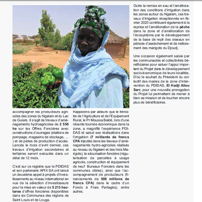PdidasOfficiel's tweet photo. Le magazine « TAM-TAM DE L’EMERGENCE », dans son 2è numéro, paru en juin 2020, a mis un focus sur les résultats du PDIDAS.
#PDIDAS #PSE #MAER #WORLDBANK #agribusiness @aliaskaw @PR_Senegal @SnMaer #agriculture_commerciale https://t.co/X6DpRystUm