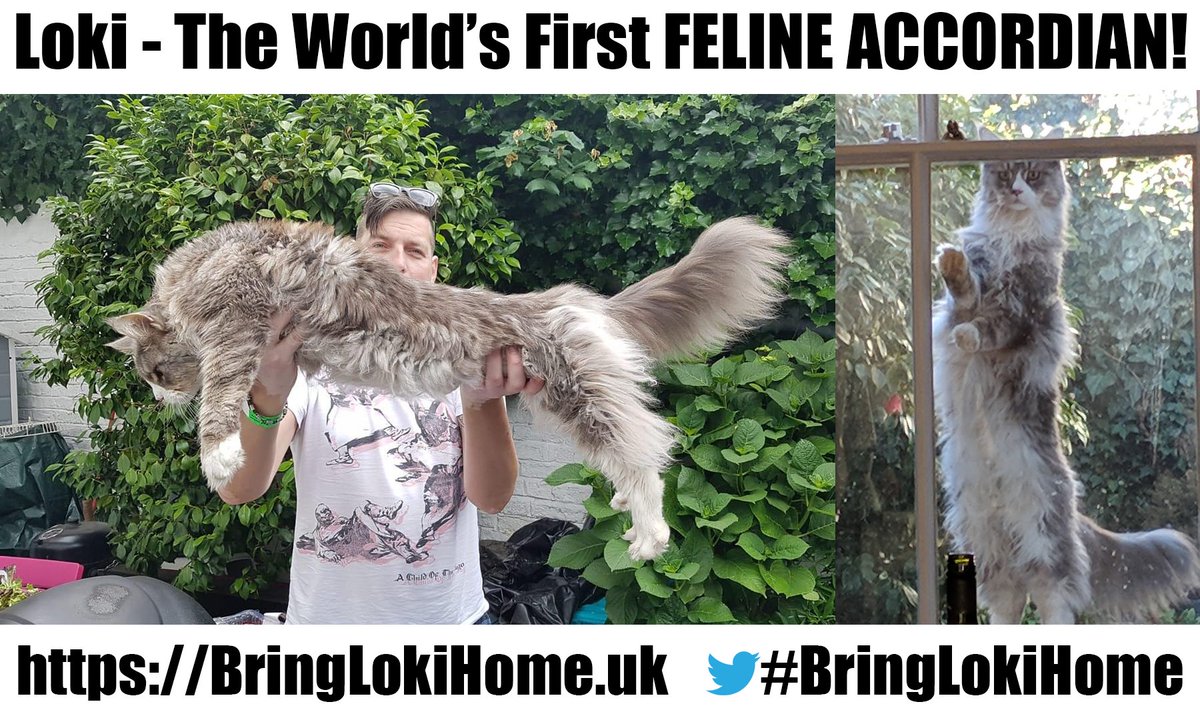 My pussy is unusually large...
#BringLokiHome
BringLokiHome.uk