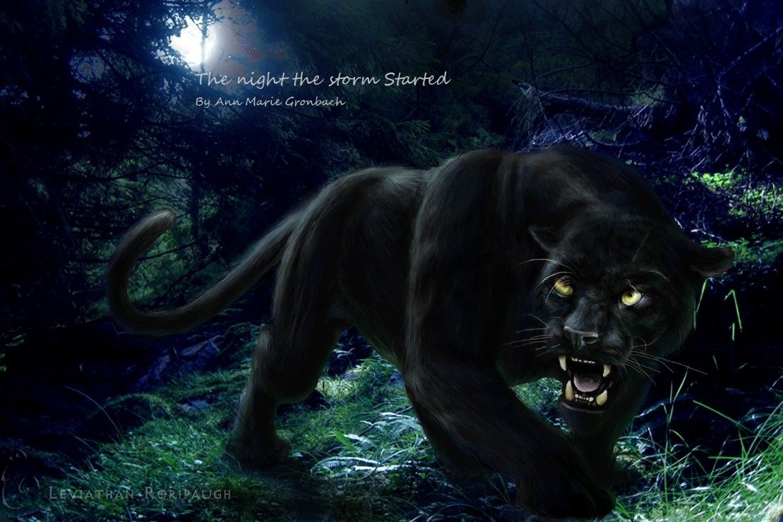 blacknattitude's tweet image. Please support my GoFundMe campaign: gofundme.com/f/qsdmhz-to-pu… @gofundme